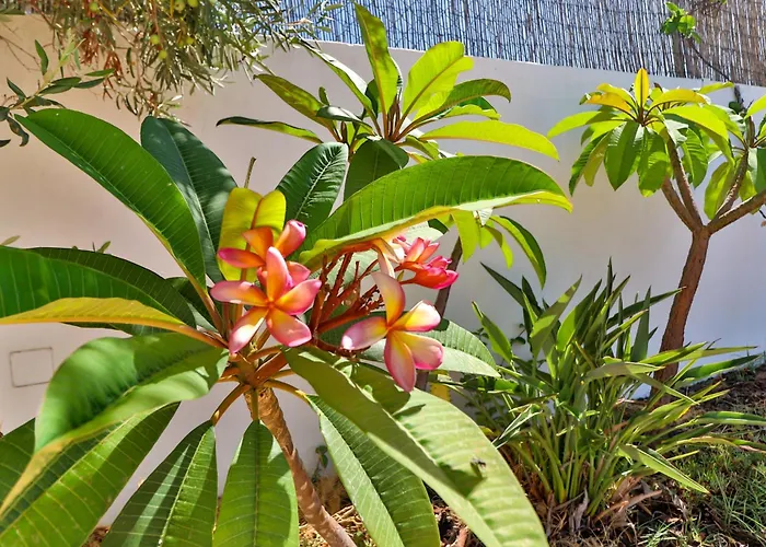 בית הארחה 102 T